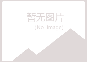 玛曲县友蕊能源有限公司